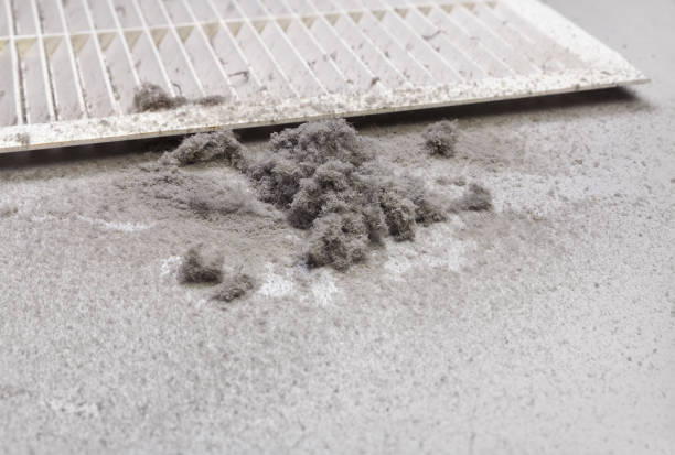 Air Duct Mold Removal in MA